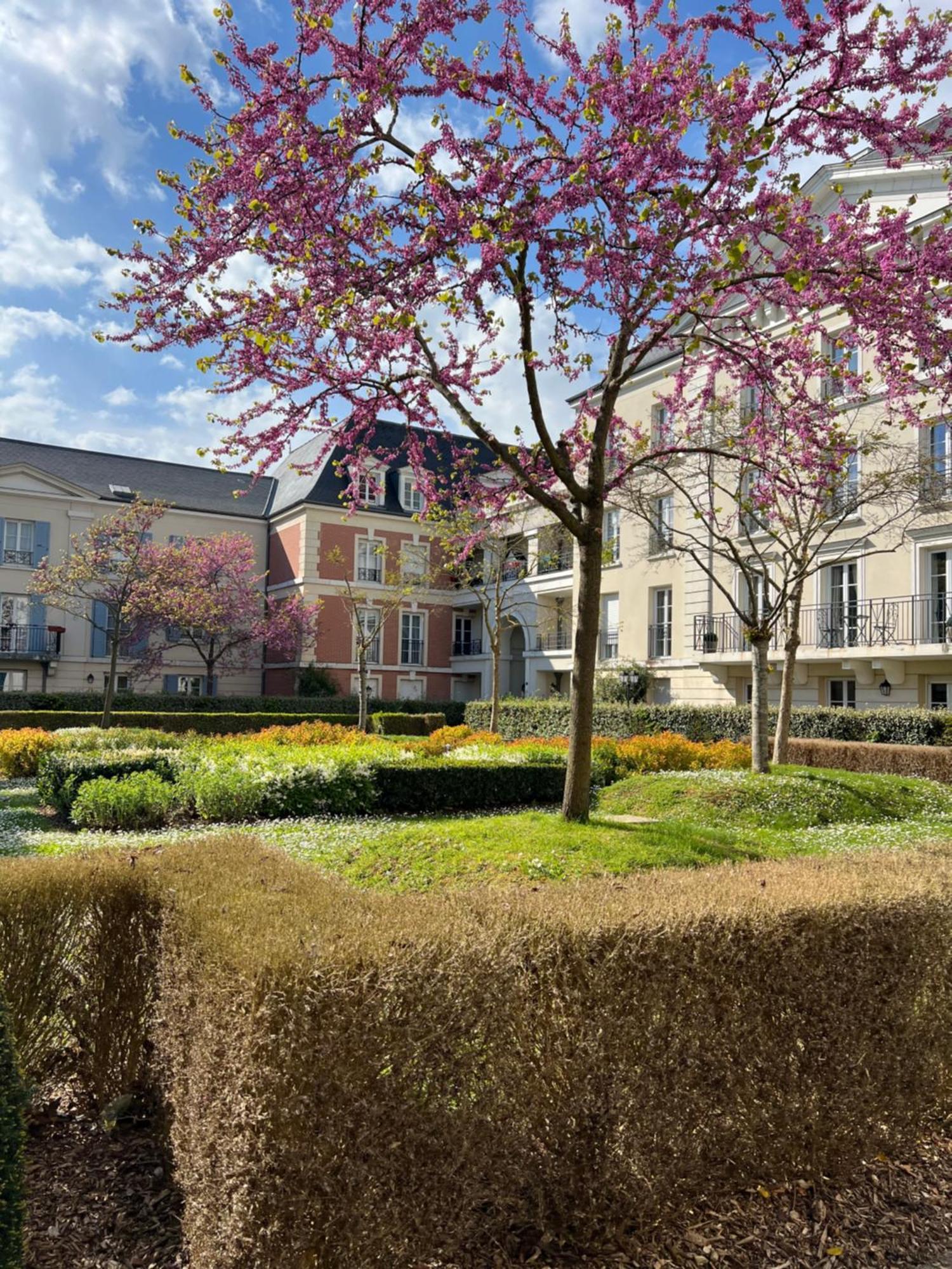 Appartement Disneyland Idealement Situe Serris Dış mekan fotoğraf